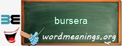 WordMeaning blackboard for bursera